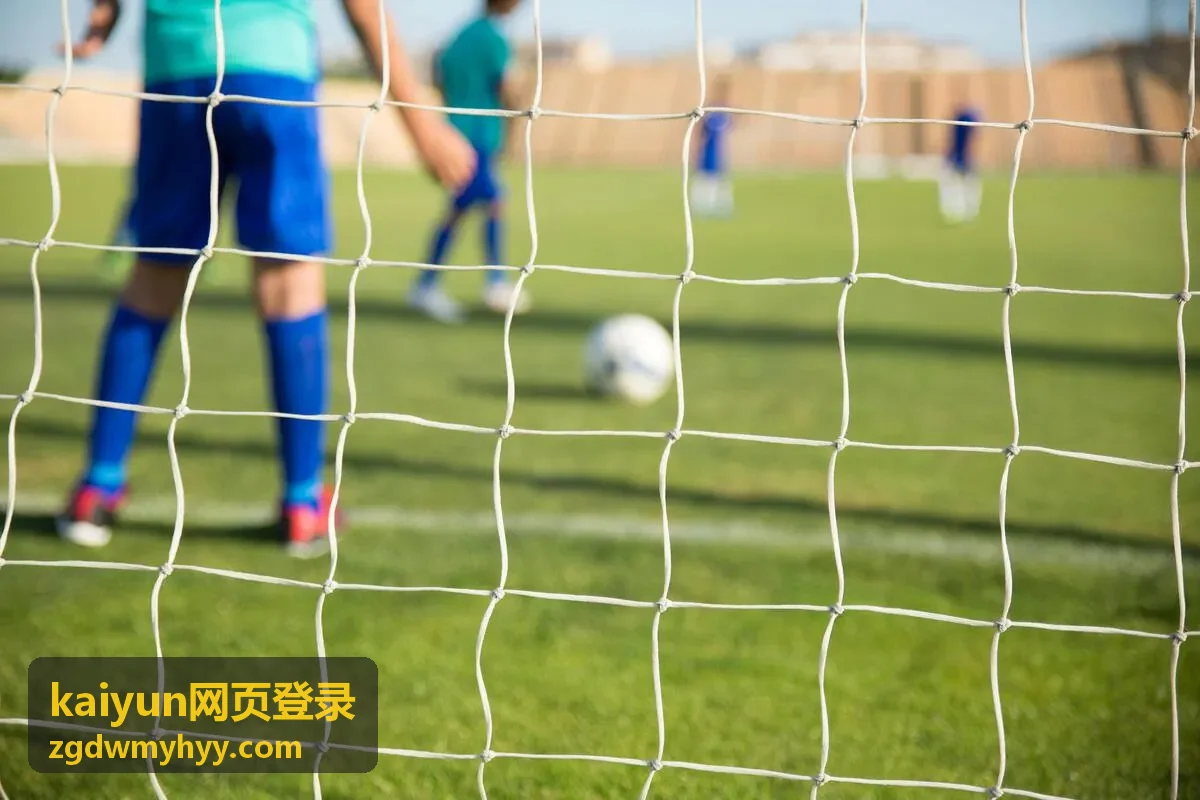 kaiyun网页登录 入口核对与凭证填写界面示意