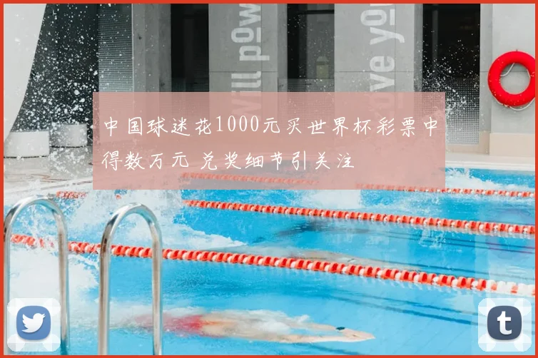 中国球迷花1000元买世界杯彩票中得数万元 兑奖细节引关注