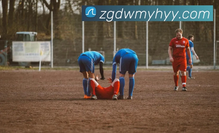 在线买世界杯平台服务体系